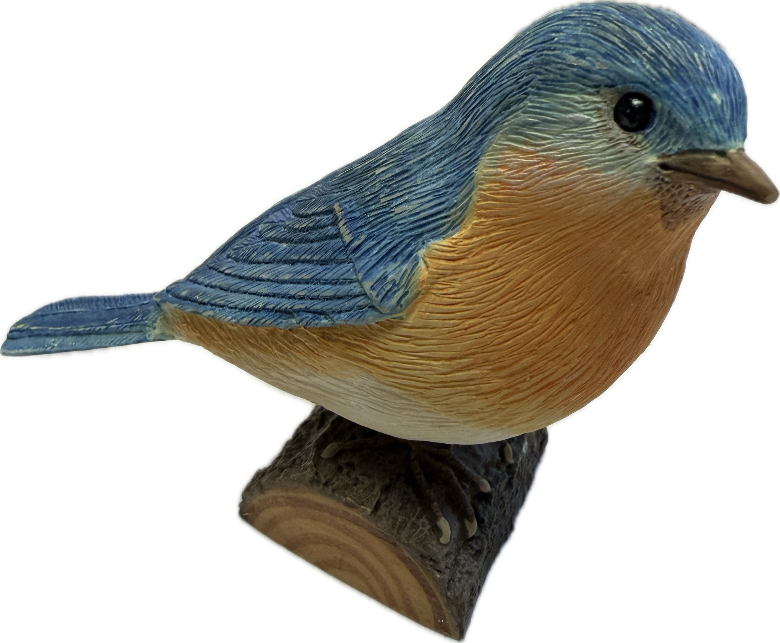 Bluebird - Marjolein Bastin Birds at My Window Series